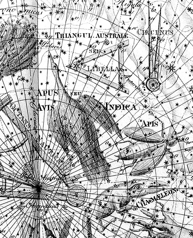 Portion of Bode's Uranographia showing the region near Apus