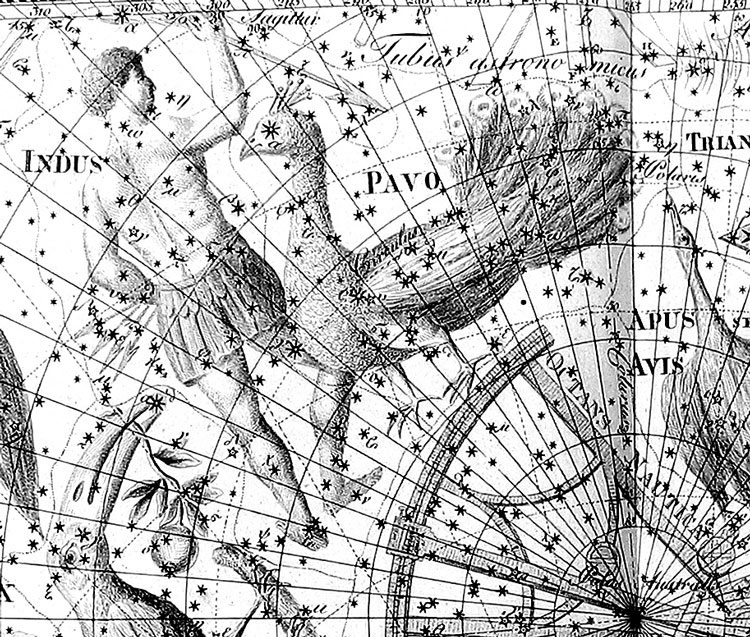 Portion of Bode's Uranographia showing the region near Pavo
