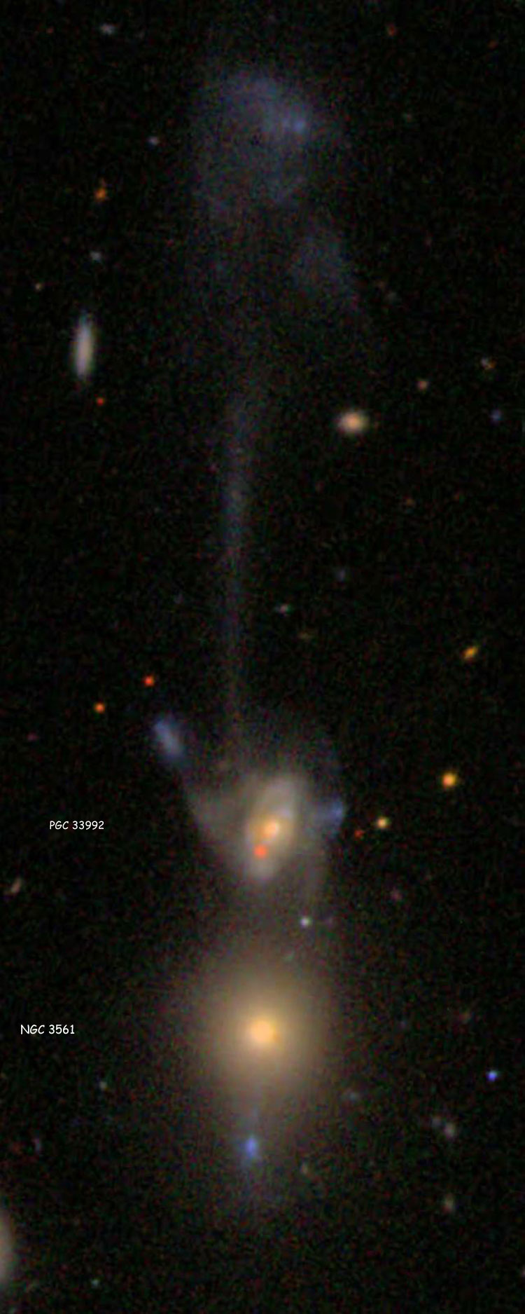 SDSS image of lenticular galaxy NGC 3561 and spiral galaxy PGC 33992, which comprise Arp 105, showing the long counter-tail of the spiral galaxy