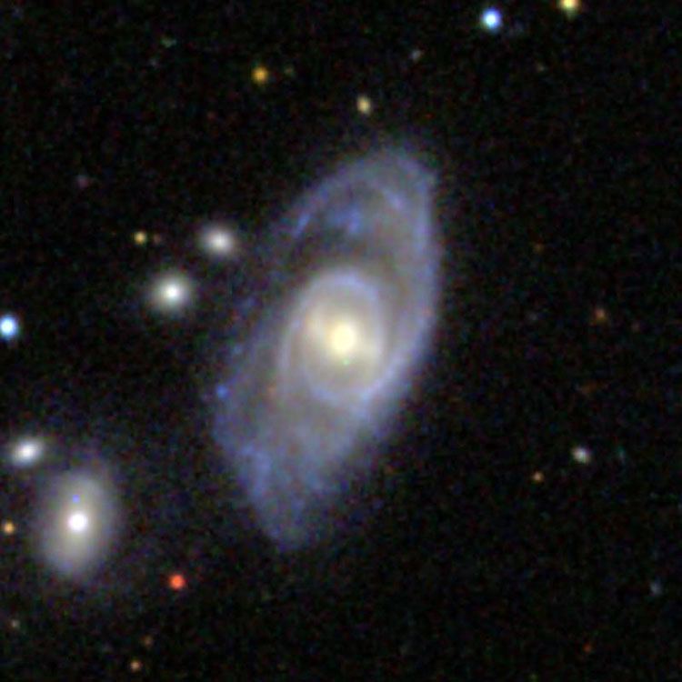 SDSS image of spiral galaxy PGC 4116, also known as Arp 11