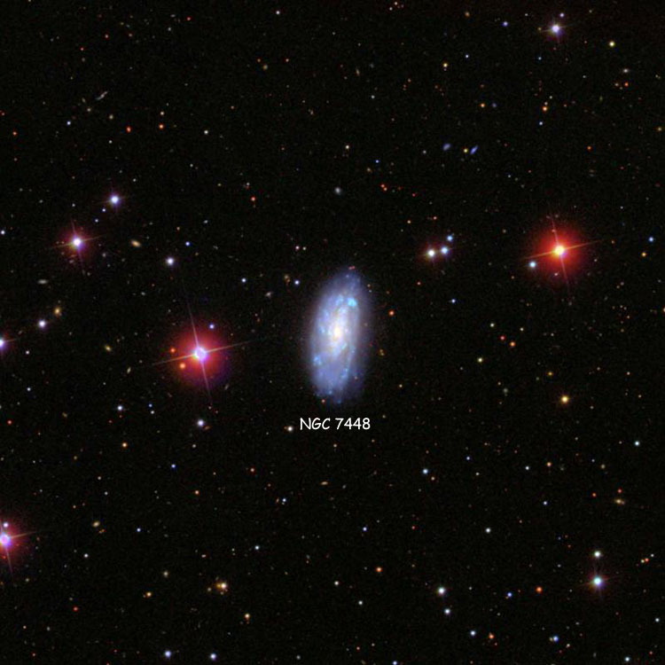 SDSS image of region near spiral galaxy NGC 7448, also known as Arp 13