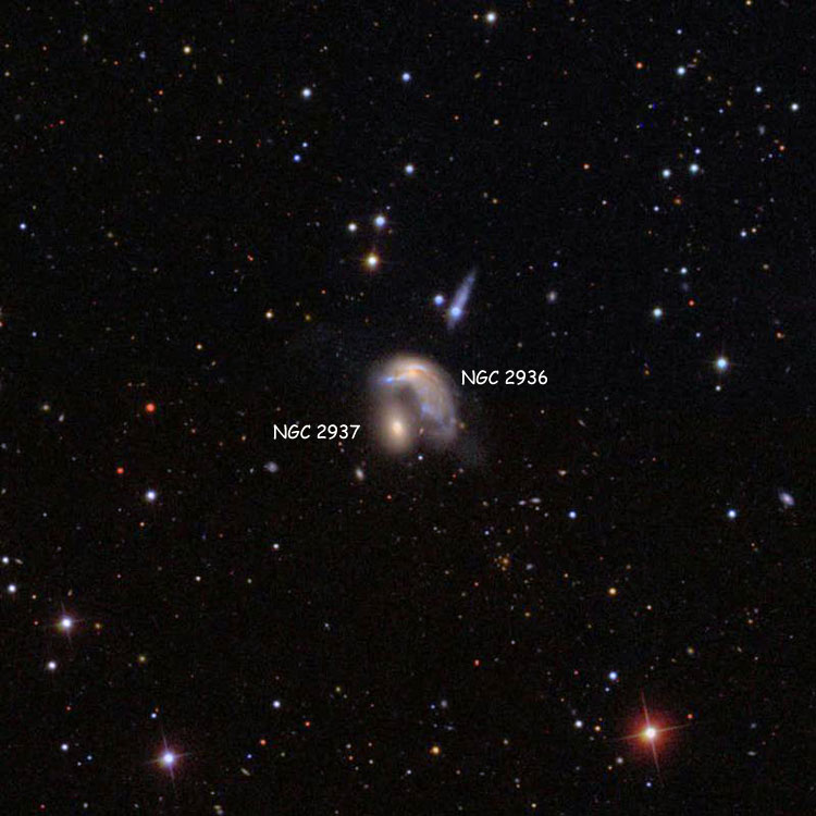 SDSS image of region near peculiar spiral galaxy NGC 2936 and elliptical galaxy NGC 2937, which comprise Arp 142