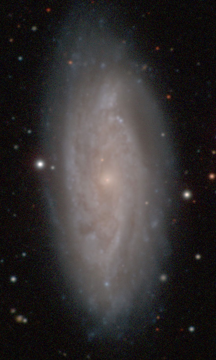 Carnegie-Irvine Galaxy Survey image of spiral galaxy NGC 7314, also known as Arp 14