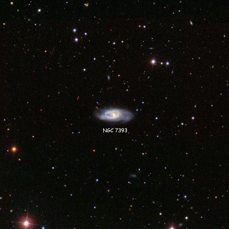 SDSS image of region near spiral galaxy NGC 7393, also known as Arp 15