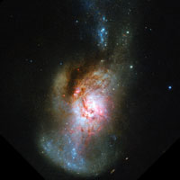 Arp 160 (NGC 4194)