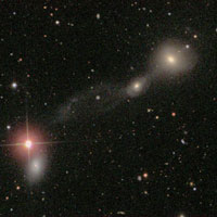Arp 175 (= IC 3481 + IC 3483 + PGC 41646)