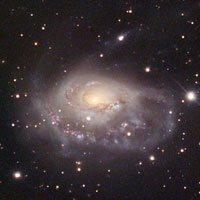Arp 184, or NGC 1961