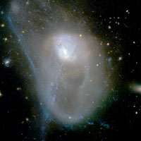 Arp 224 (NGC 3921)