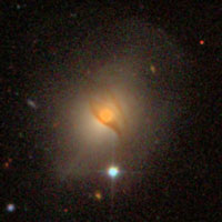 Arp 231 (IC 1575)