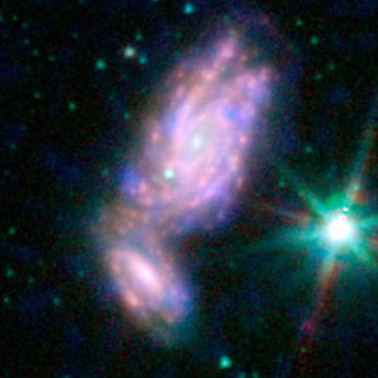 Composite of GALEX ultraviolet, Spitzer infrared, and visible-light images of spiral galaxy NGC 935 and its spiral companion, IC 1801, which comprise Arp 276
