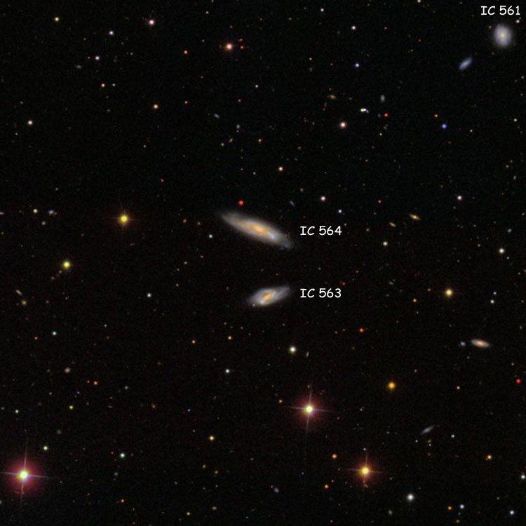 SDSS image of region near spiral galaxies IC 563 and 564, which comprise Arp 303; also shown is spiral galaxy IC 561
