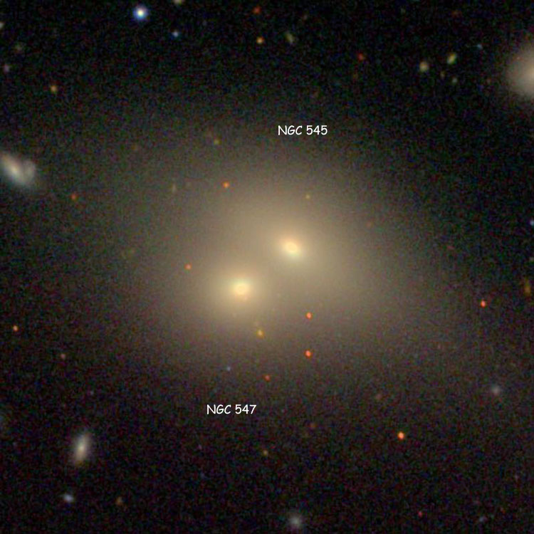 SDSS image of lenticular galaxy NGC 545 and elliptical galaxy NGC 547, which comprise Arp 308