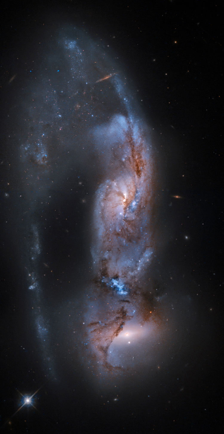 HST image of interacting spiral galaxies NGC 6621 and 6622, also known as Arp 81; post-processing by Martin Pugh to bring out greater detail