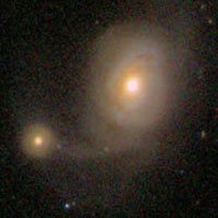 Arp 92 (NGC 7603 + PGC 71041)