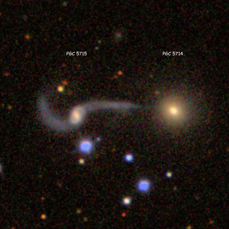 SDSS image of spiral galaxy PGC 5715 and lenticular galaxy PGC 5714, which comprise Arp 98