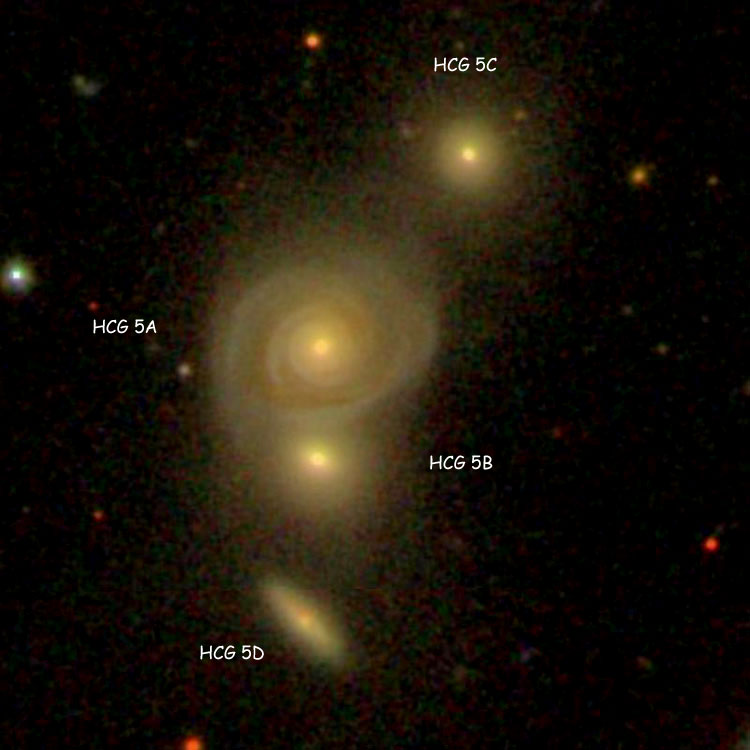 SDSS image of Hickson Compact Group (HCG) 5 showing Hickson labels for the individual components