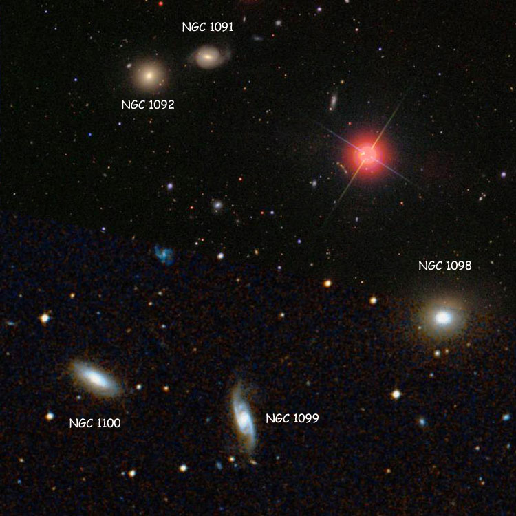 SDSS image of Hickson Compact Group 21, consisting of NGC 1091, NGC 1092, NGC 1098, NGC 1099 and NGC 1100, overlaid on a DSS background to fill in missing areas