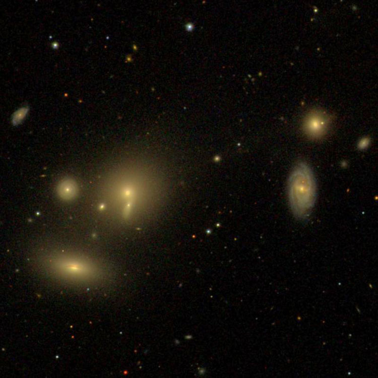 SDSS image of Hickson Compact Group 51