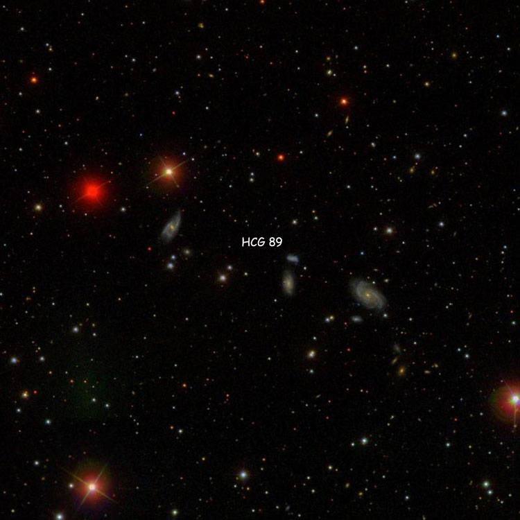 SDSS image of region near Hickson Compact Group 89