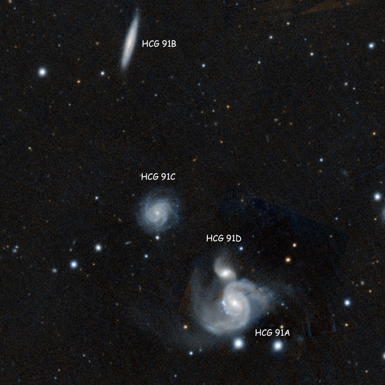 PanSTARRS image of Hickson Compact Group 91, showing Hickson designations