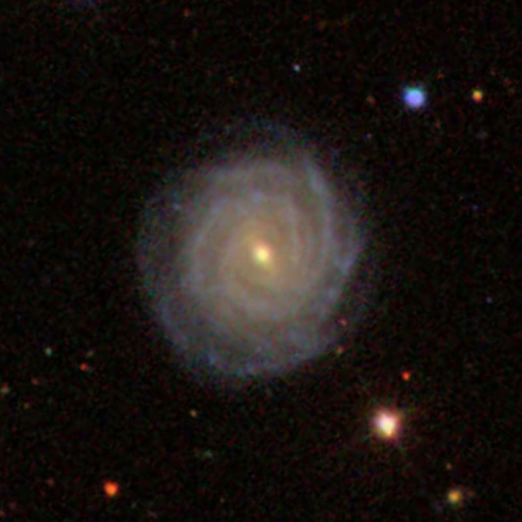 SDSS image of spiral galaxy IC 1099