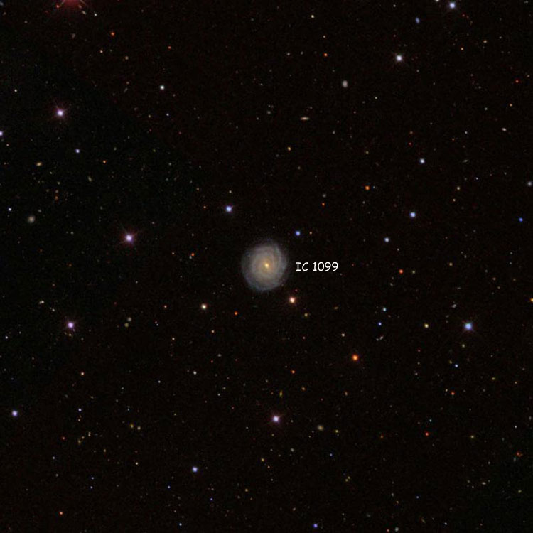 SDSS image of region near spiral galaxy IC 1099