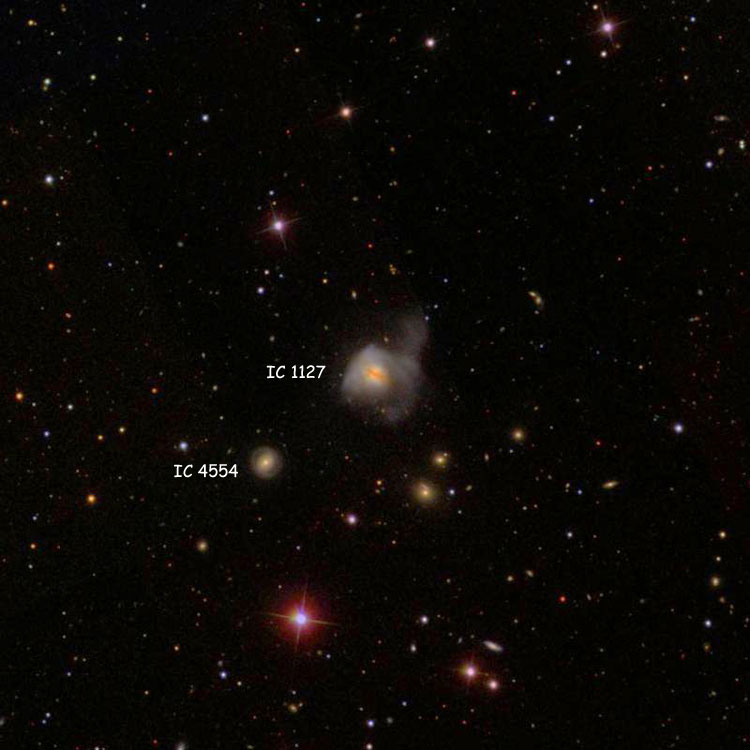 SDSS image of region near spiral galaxy IC 1127, also known as Arp 220; also shown is IC 4554