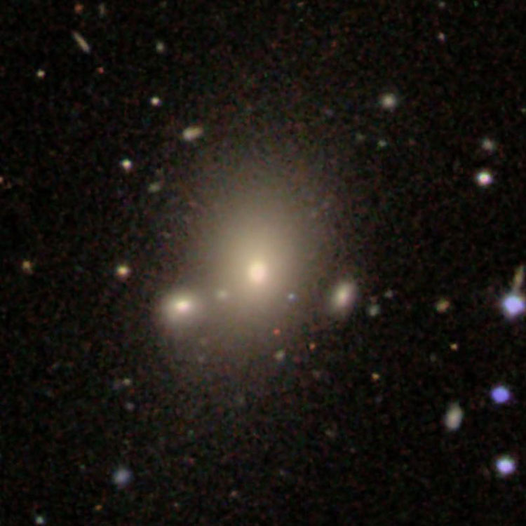 SDSS image of lenticular galaxy IC 1134 and its compact companion