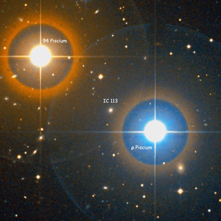 DSS image of region near elliptical galaxy IC 113