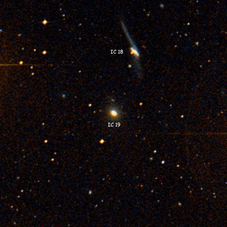 DSS image of region near elliptical galaxy IC 19, also showingn IC 18, with which it comprises Arp 100