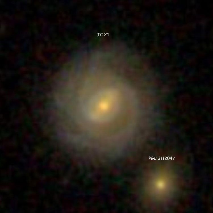 SDSS image of spiral galaxy IC 21, also showing its probable companion, PGC 3112047