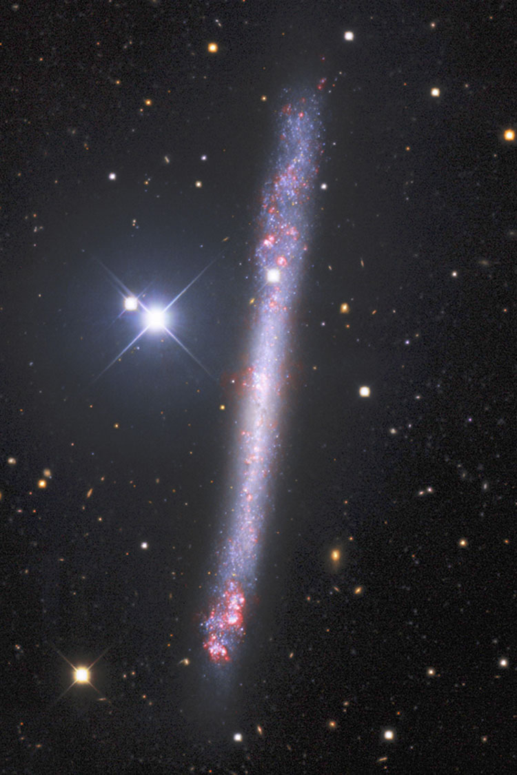 Kitt Peak National Observatory image of spiral galaxy IC 2233