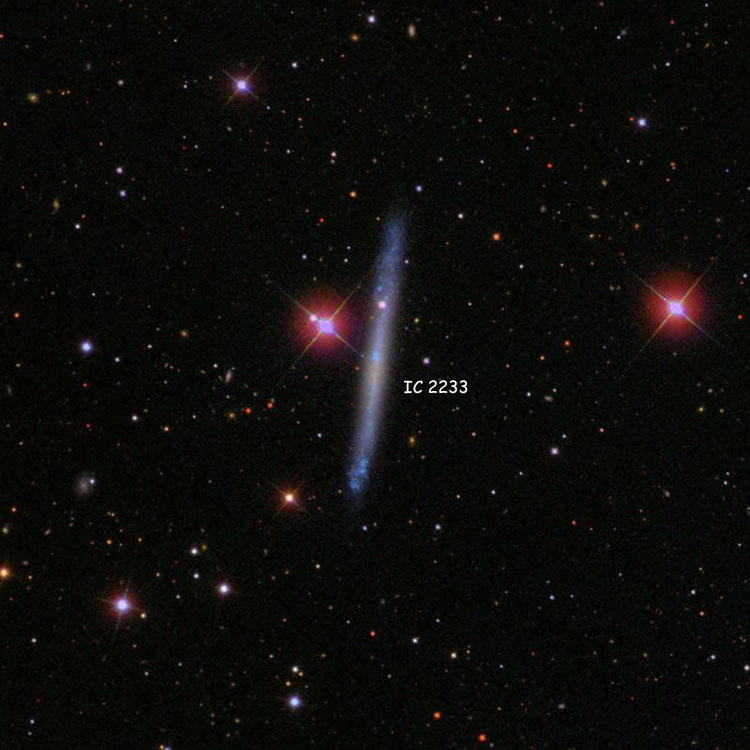 SDSS image of region near spiral galaxy IC 2233