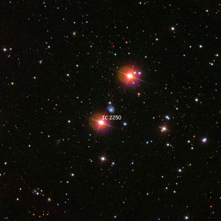 SDSS image of region near spiral galaxy IC 2250