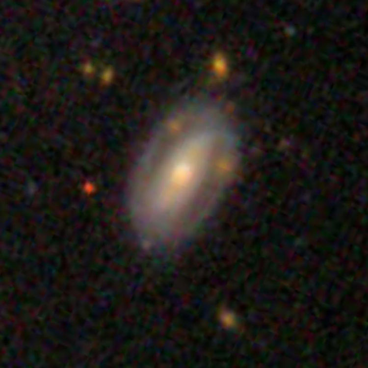 SDSS image of spiral galaxy IC 2388