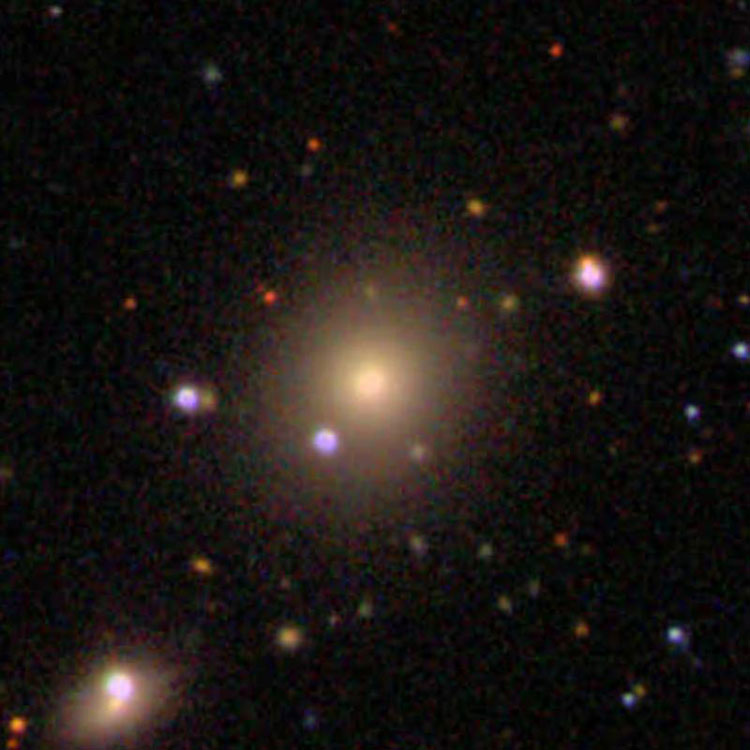 SDSS image of lenticular galaxy IC 2420