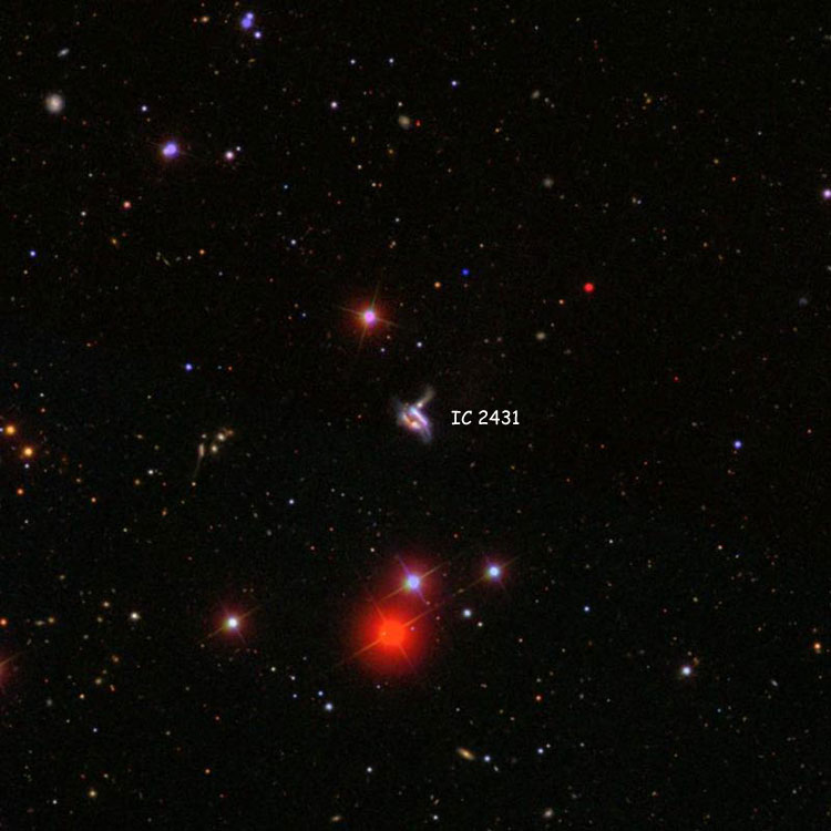 SDSS image of region near the group of interacting galaxies listed as IC 2431