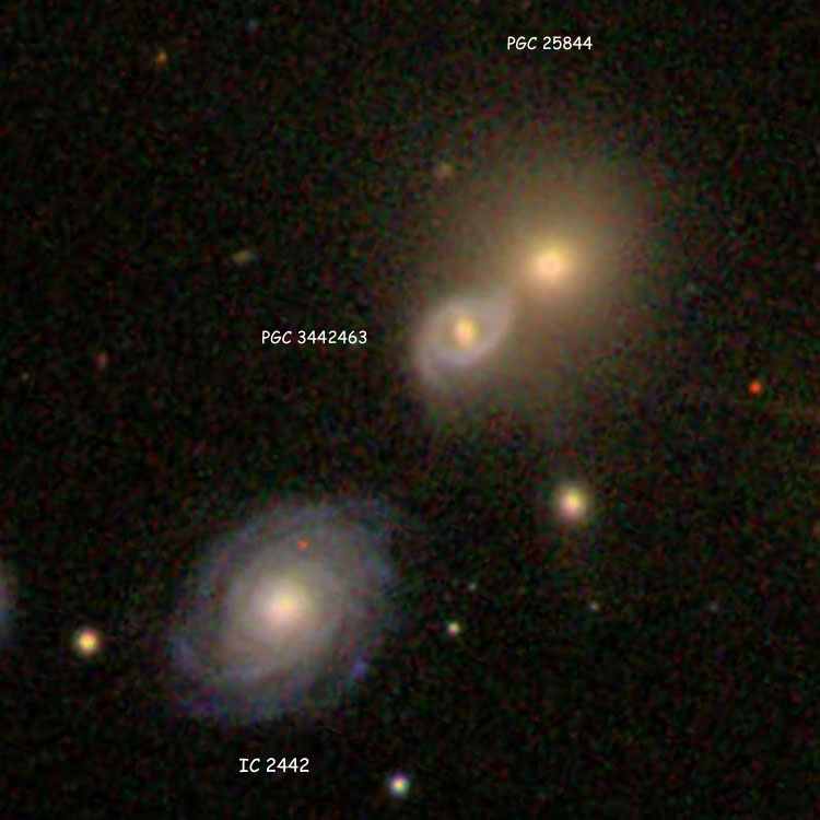 SDSS image of lenticular galaxies PGC 25844 and PGC 3442463, which comprise IC 2441, also showing spiral galaxy IC 2442