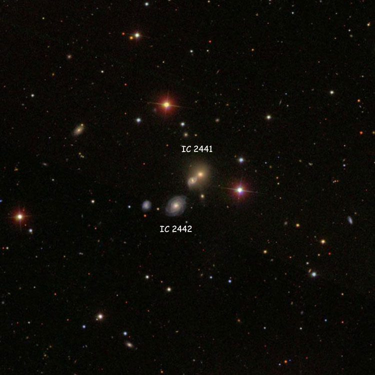 SDSS image of region near lenticular galaxies PGC 25844 and PGC 3442463, which comprise IC 2441, also showing IC 2442