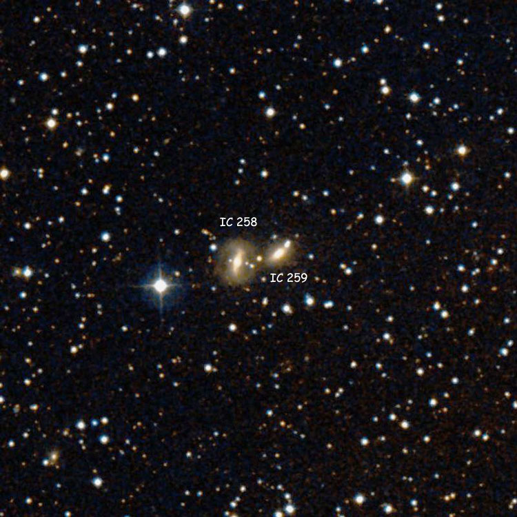 DSS image of region near spiral galaxy IC 258 and lenticular galaxy IC 259