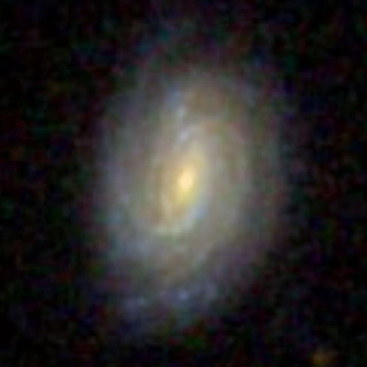 SDSS image of spiral galaxy PGC 10716, which is almost certainly IC 263