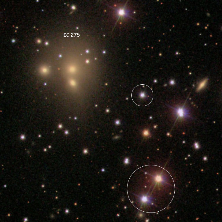 SDSS image of the elliptical galaxies that comprise IC 275, also showing the stars that help make the identity certain