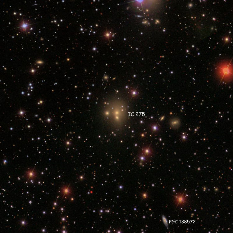 SDSS image of region near the elliptical galaxies that comprise IC 275, also showing PGC 138752, a possible candidate for the otherwise lost or nonexistent IC 274