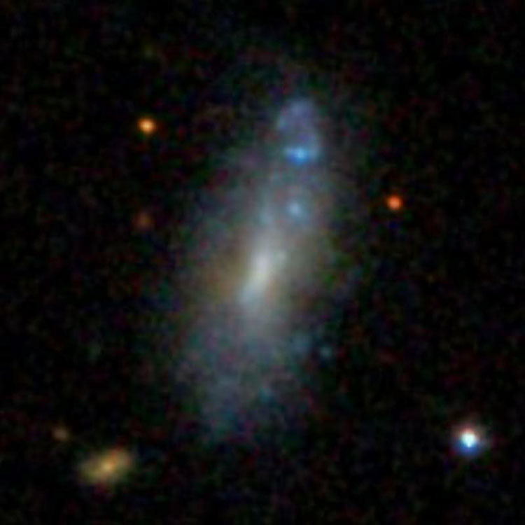 SDSS image of spiral galaxy IC 2776