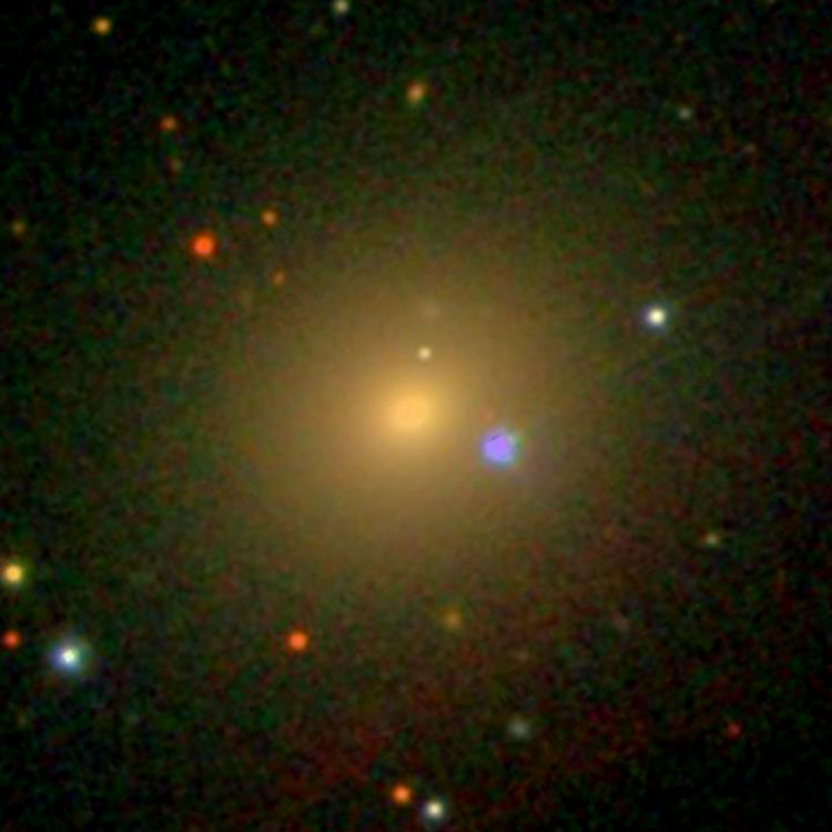 SDSS image of elliptical galaxy IC 278
