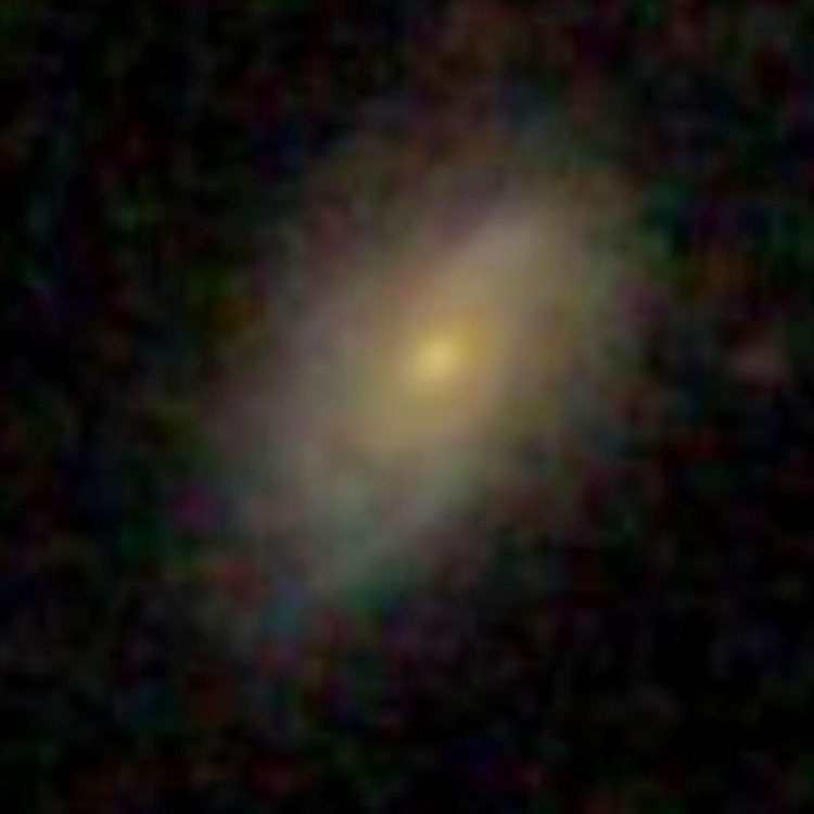 SDSS image of spiral galaxy IC 2898