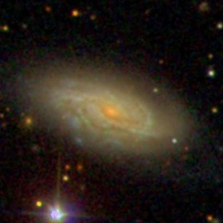 SDSS image of spiral galaxy IC 292