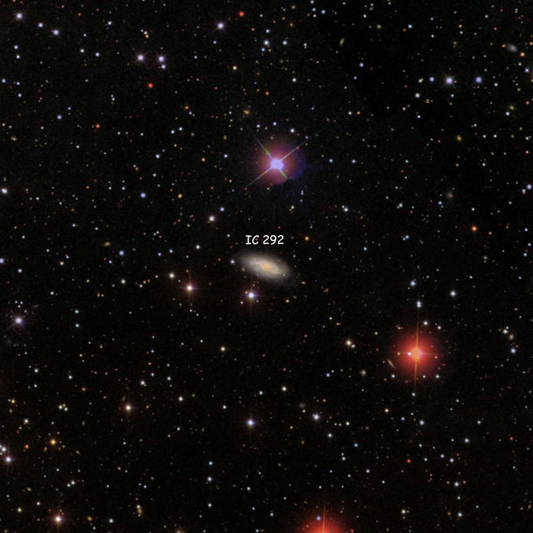 SDSS image of region near spiral galaxy IC 292