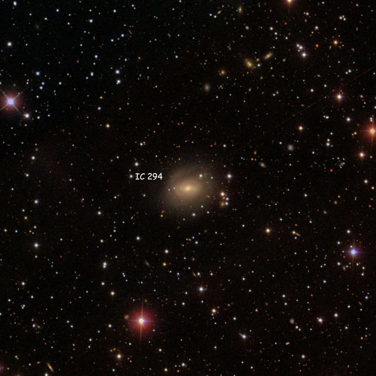 SDSS image of region near spiral galaxy IC 294