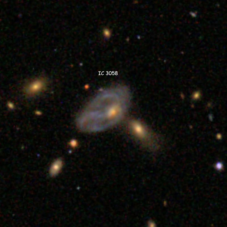 SDSS image of spiral galaxy IC 3058